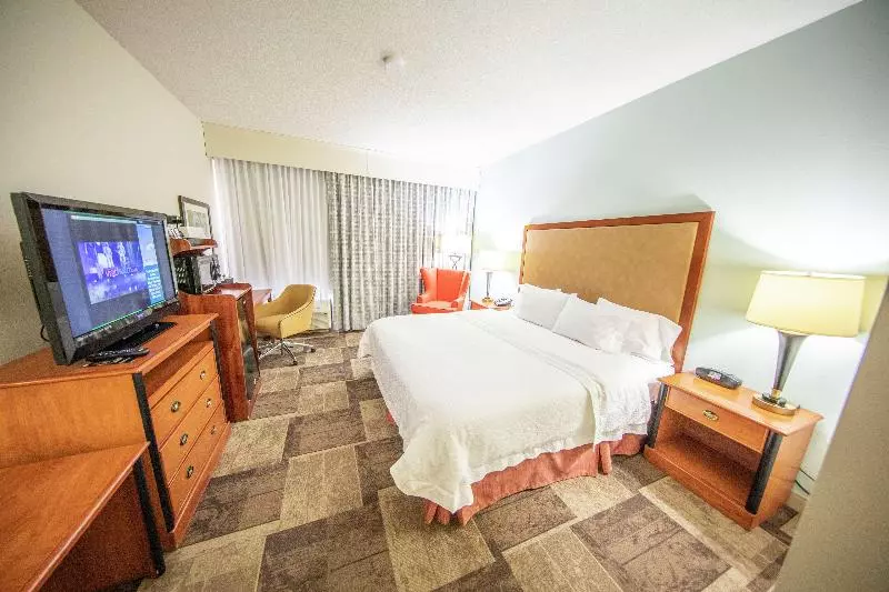 身障者適用キングサイズベッドルーム, Hyatt Place Houston/the Woodlands