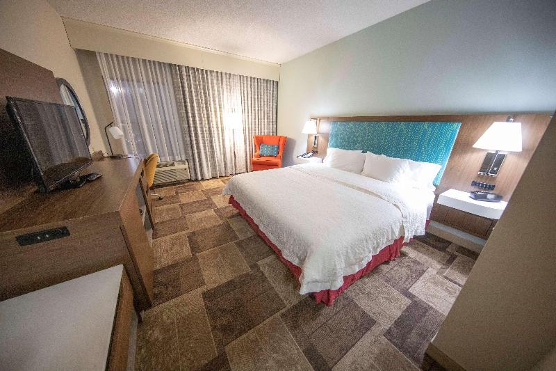 身障者適用キングサイズベッドルーム, Hyatt Place Houston/the Woodlands