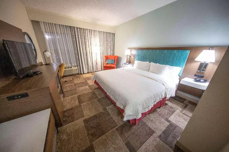 身障者適用キングサイズベッドルーム, Hyatt Place Houston/the Woodlands
