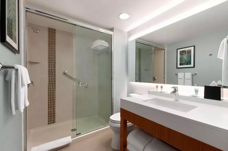 キングサイズベッドのスタンダードルーム, Hyatt Place Houston/the Woodlands