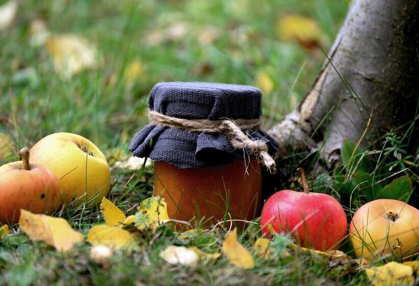 غرفة قياسية, La Luma