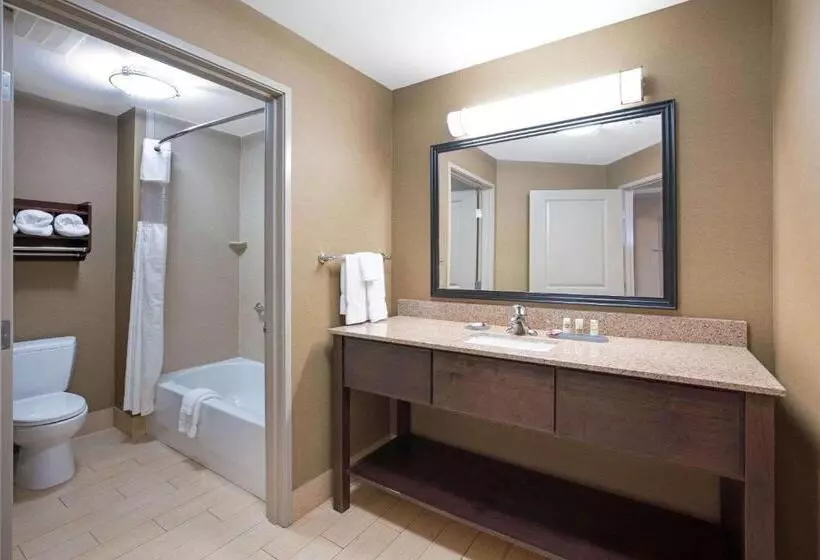 身障者適用キングサイズベッドルーム, La Quinta By Wyndham Bellingham