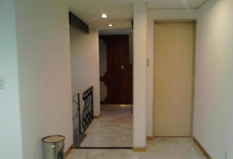 スタンダードルーム, Mansion Havre