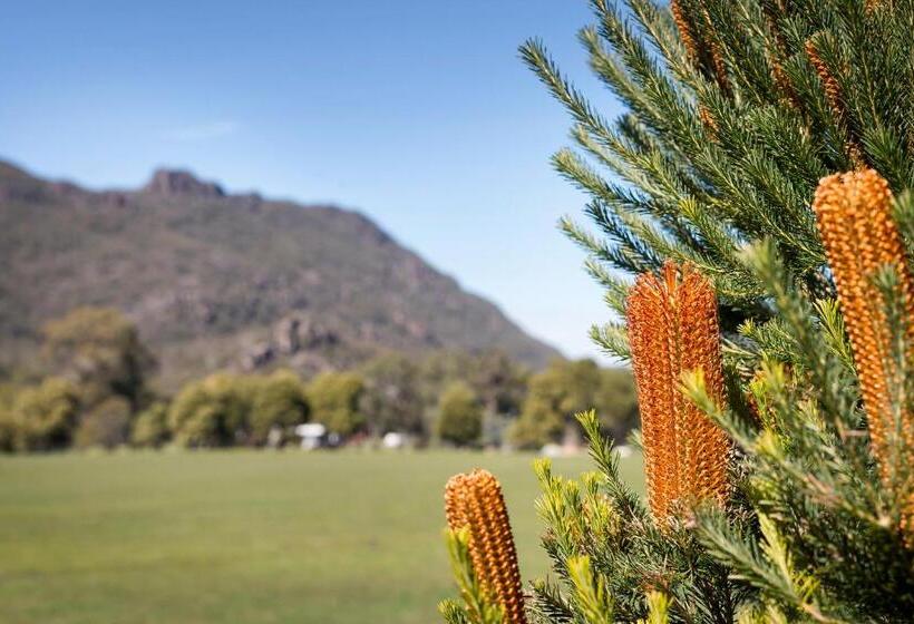 标准间带山景, Kookaburra Motor Lodge