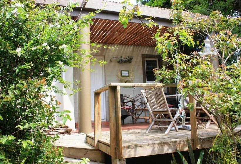 套房配有游泳池, Bamboo, The Guesthouse