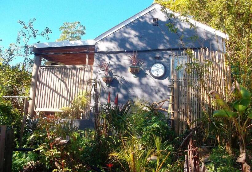 套房配有游泳池, Bamboo, The Guesthouse