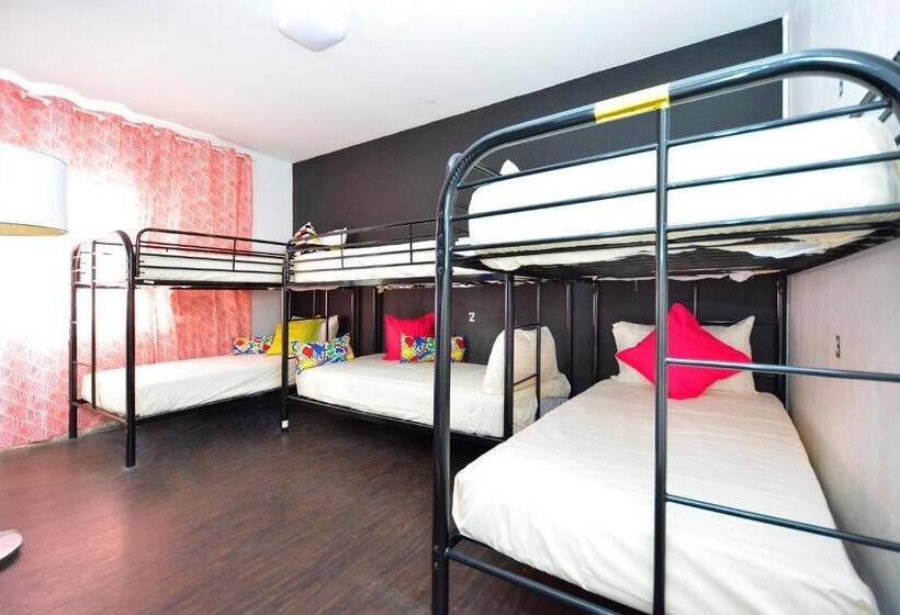 共用房间的床, South Beach Rooms And Hostel