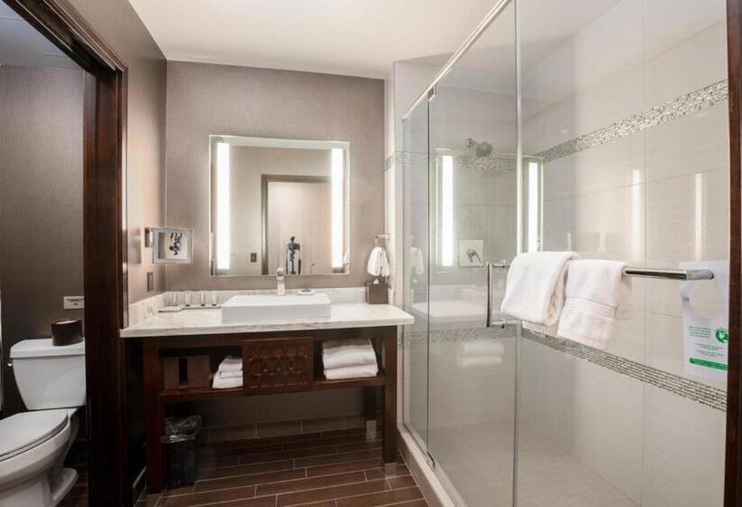 Номер Deluxe Кровать Кинг, Viejas Casino & Willows