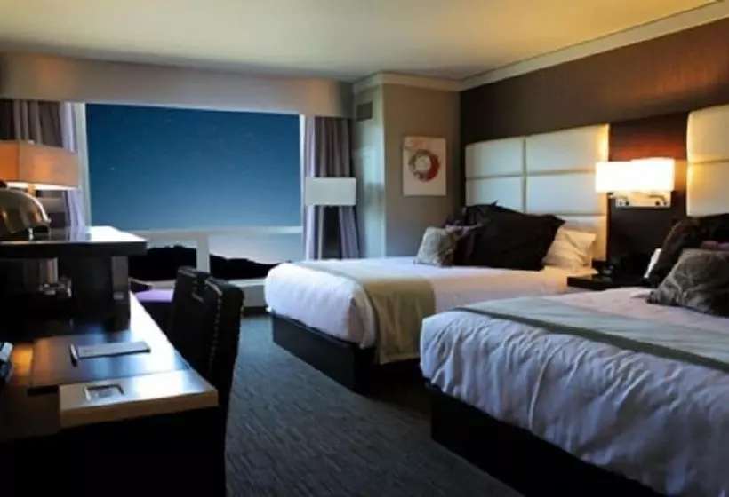 デラックスルーム, Viejas Casino & Willows