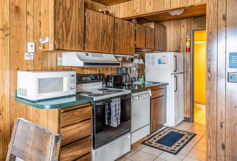 شقة غرفة واحدة, Bay Point Lakefront 1b Down