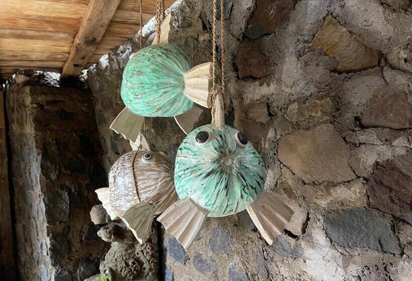 חדר דלוקס נוף לים, Louka Beach Bali