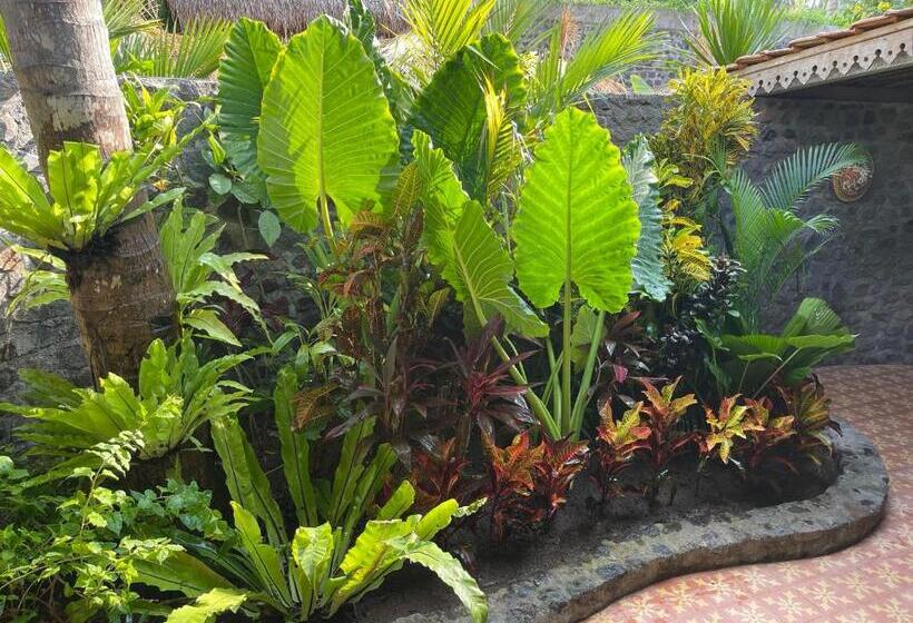 בקתה דלוקס, Louka Beach Bali