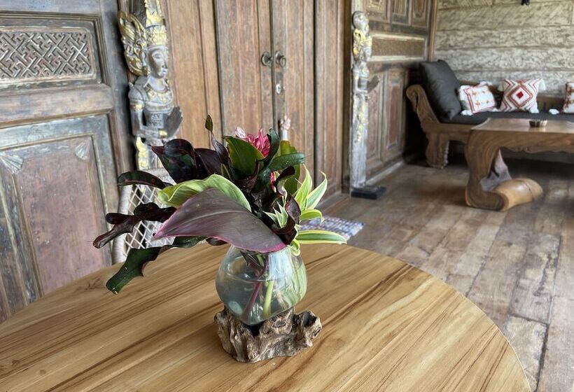 בקתה דלוקס, Louka Beach Bali