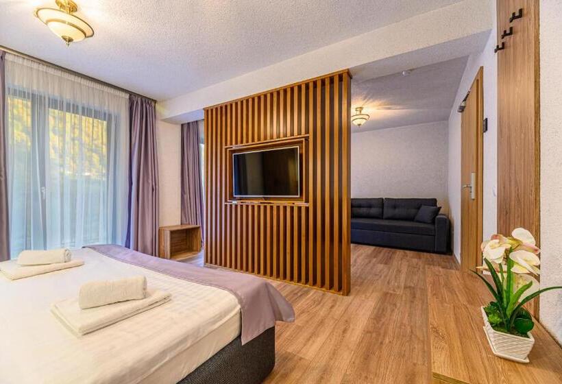 Junior swim-up suite, Pensiunea Apuseni Wild