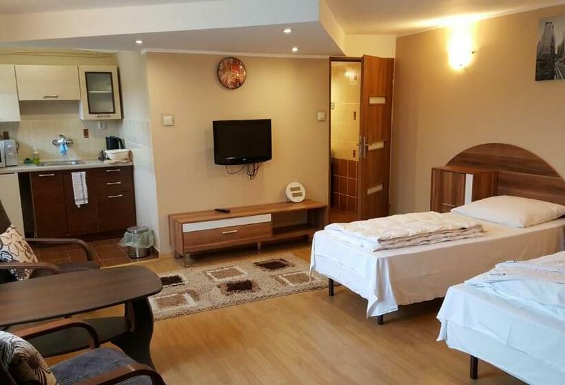 Номер Стандарт Вид на Сад, Noclegi U Oksany