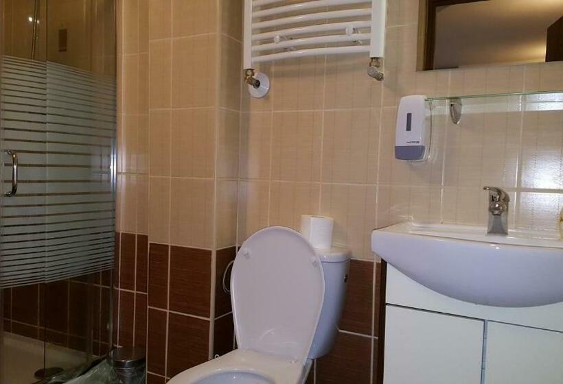 Номер Стандарт Вид на Сад, Noclegi U Oksany