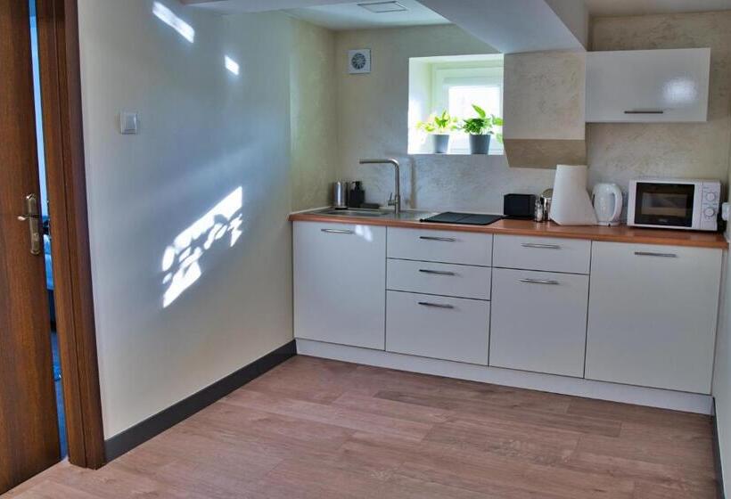 חדר סטנדרט, Jeleń Resort&spa