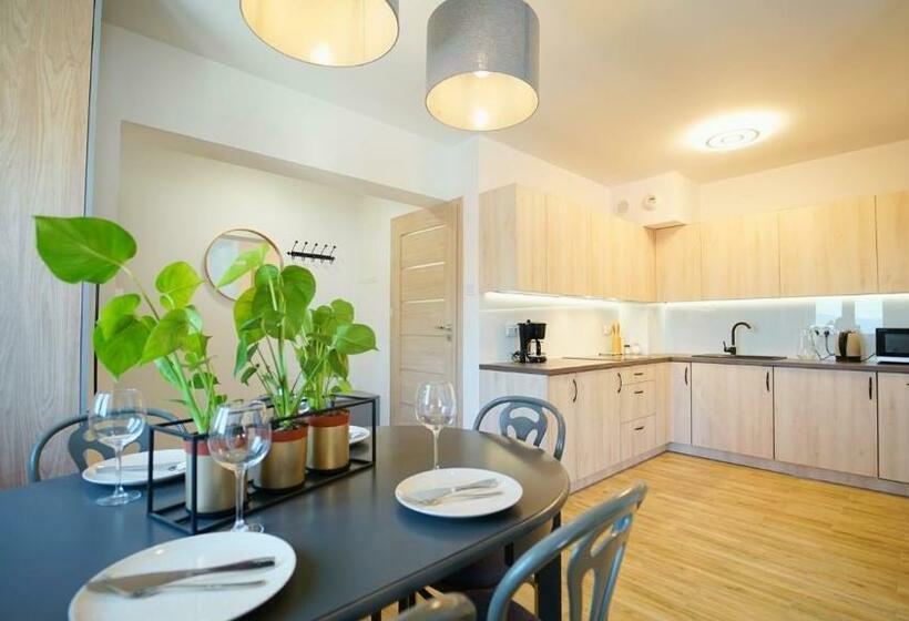 Апартаменты 1 Спальня, Apartamenty Everysky   Słowackiego 5a B