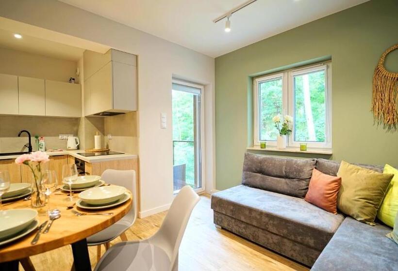 Апартаменты 2 Спальни, Apartamenty Everysky   Słowackiego 5a B