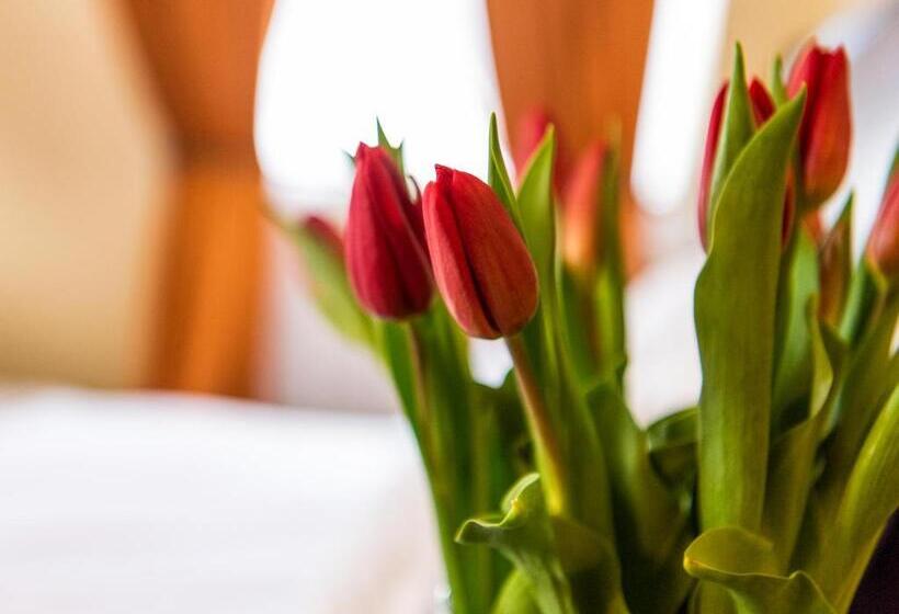 شقة ديلوكس غرفة واحدة, Pałac Godętowo