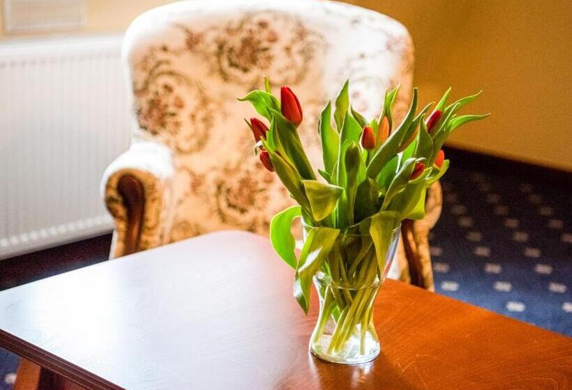 شقة ديلوكس غرفة واحدة, Pałac Godętowo