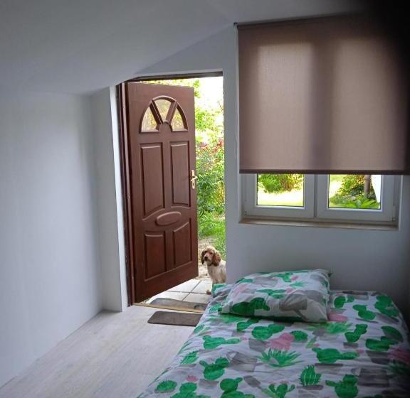 اتاق اکونومی, Agroturystyka Pod Kogutem