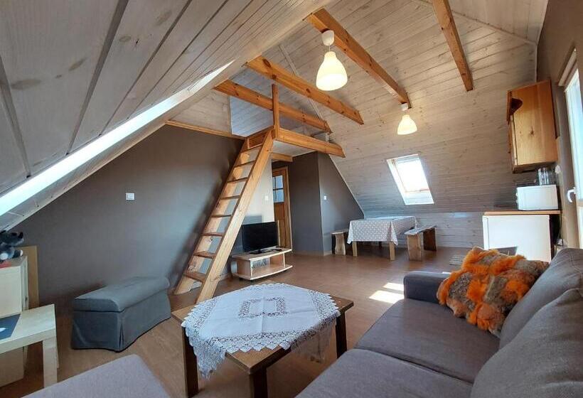 Апартаменты 3 Спальни, Apartamenty Swojskie Klimaty