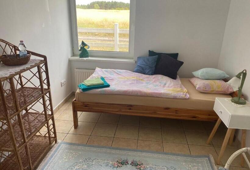 标准单人间, Lansada