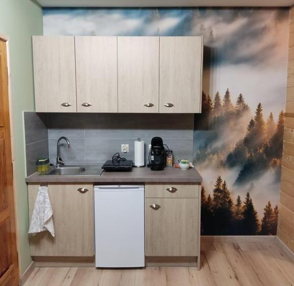 Номер Стандарт, Apartamenty U Drwala