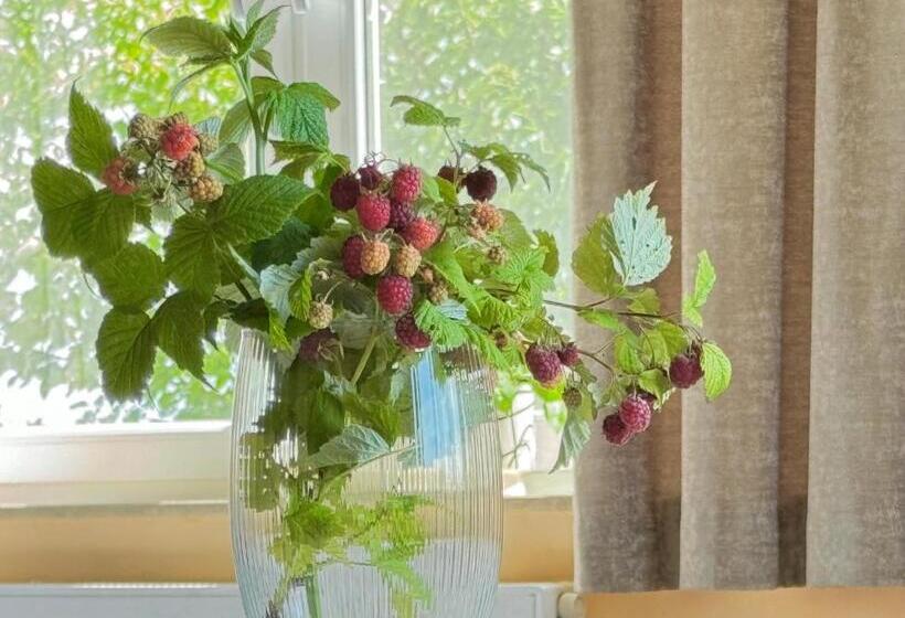 Четырехместный Номер Стандарт, Błękitna Norda  Pokoje Z Widokiem Na Morze