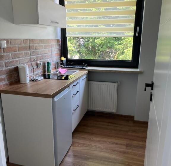 اتاق استاندارد چهار تخته, Dwunastka