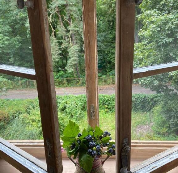 １ベッドルームアパートメント, Zamkowa 4