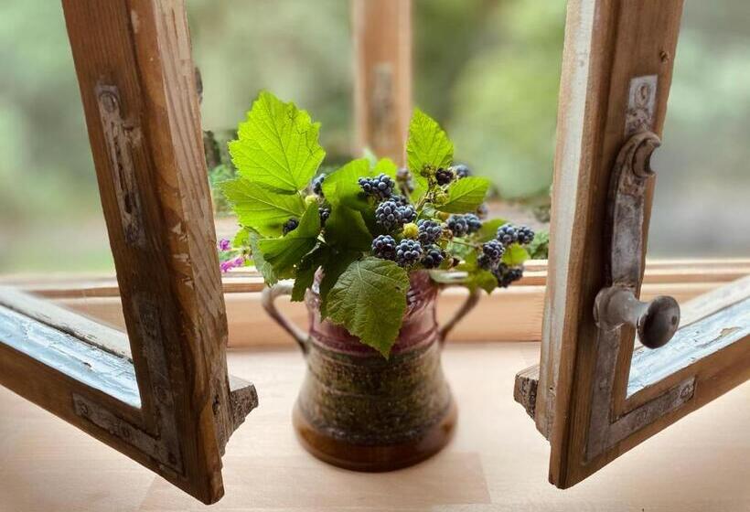 דירת חדר, Zamkowa 4