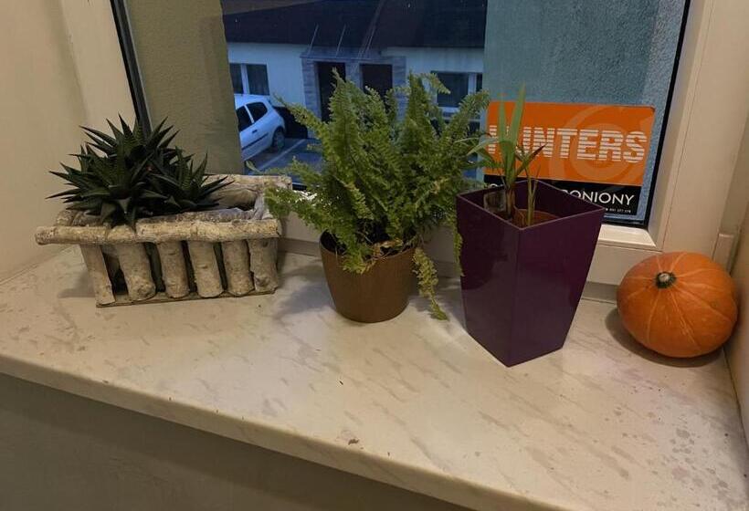 バルコニー付き１ベッドルームアパートメント, Eldomnoclegi, Kolejowa 15 Wągrowiec