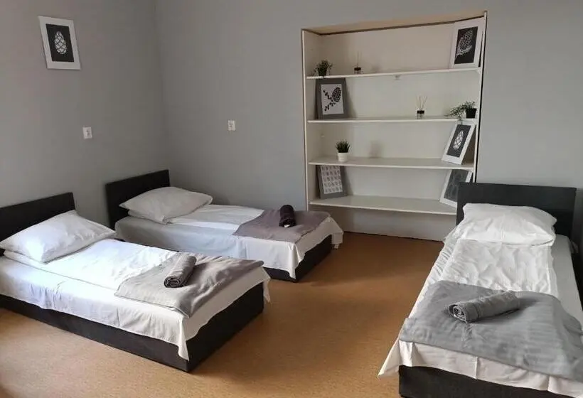 Standard Kolmen Hengen Huone, Pokoje Pod świerkiem
