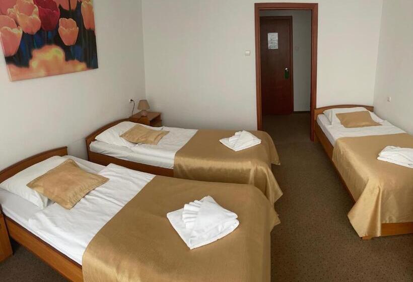 חדר סטנדרט לשלושה, Neptun