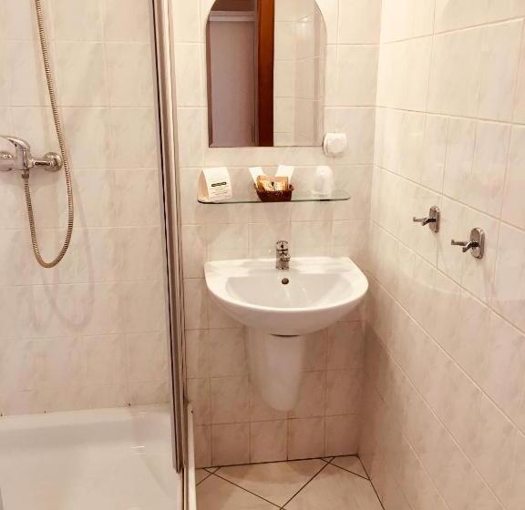 חדר סטנדרט נוף לאגם, Neptun