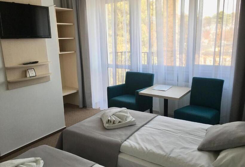 חדר סטנדרט נוף לעיר, Neptun