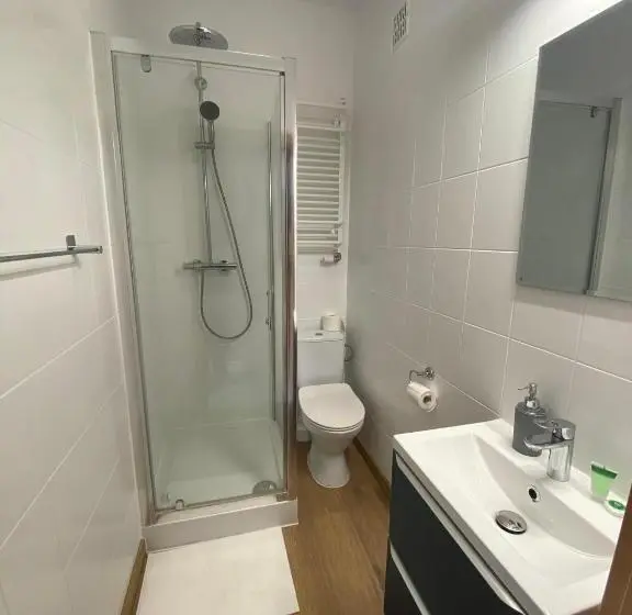 Standard Yhden Hengen Huone, Pensjonat U Aktorów
