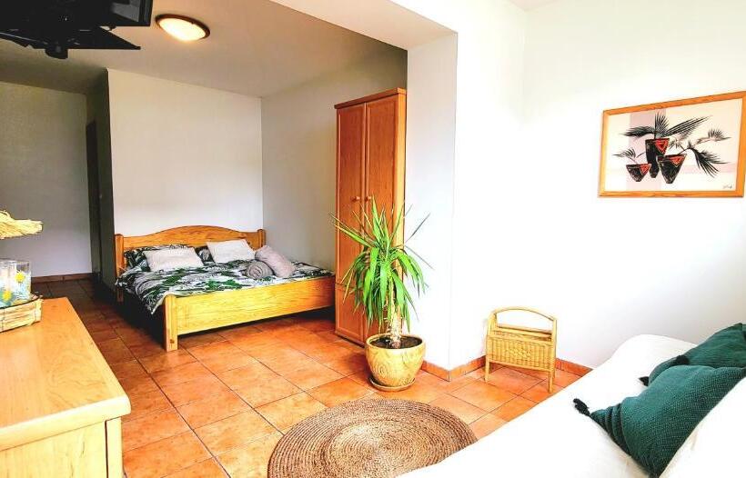 Четырехместный Номер Стандарт Вид на Сад, Pokoje Gościnne Azaliowa 34 Mielno