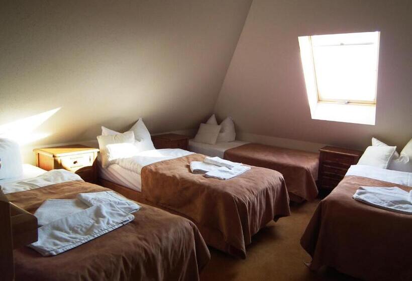 اتاق لوکس خانوادگی, Villa Siesta