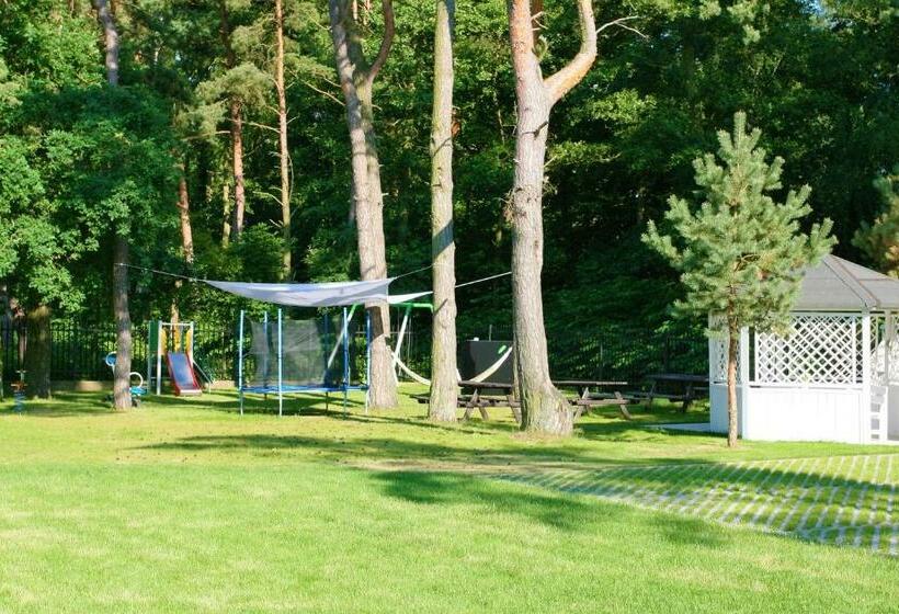 スタンダードルーム, Alcest Niechorze