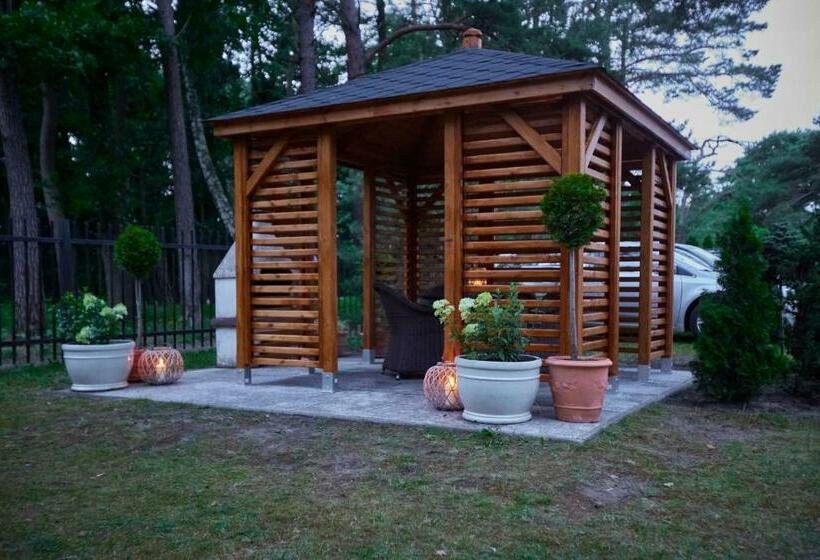 スタンダードルーム, Alcest Niechorze