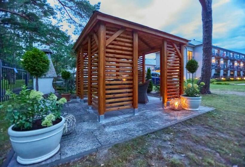 スタンダードルーム, Alcest Niechorze