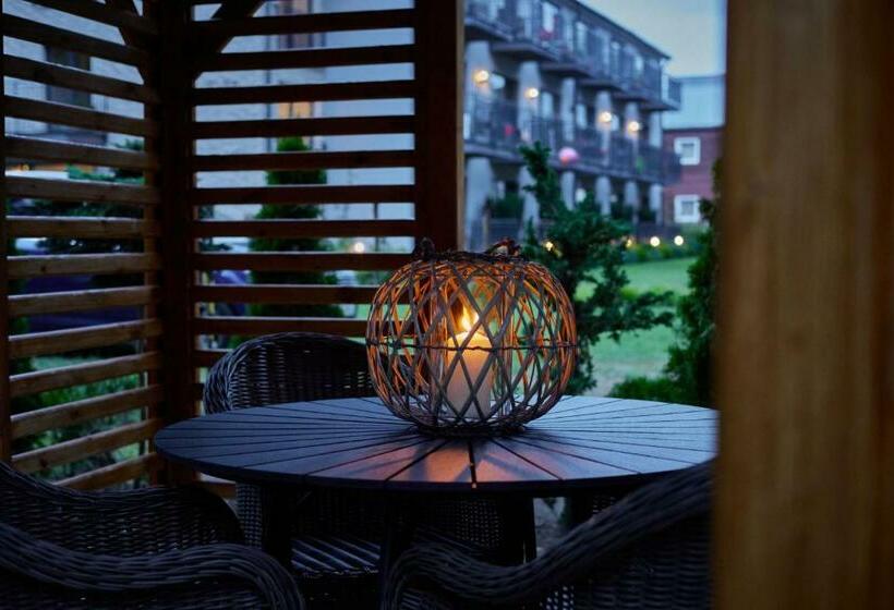 スタンダードルーム, Alcest Niechorze