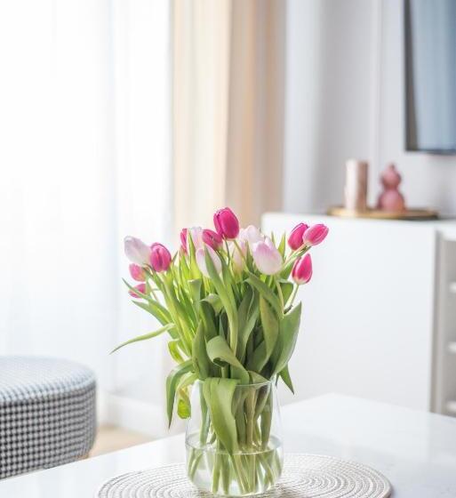 Семейный Полулюкс, Słone Residence Apartamenty & Beer Spa