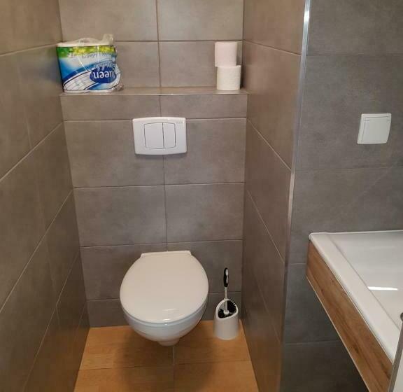 חדר סטנדרטי לארבעה עם חדר אמבטיה משותף, Noclegi Silesia Aster