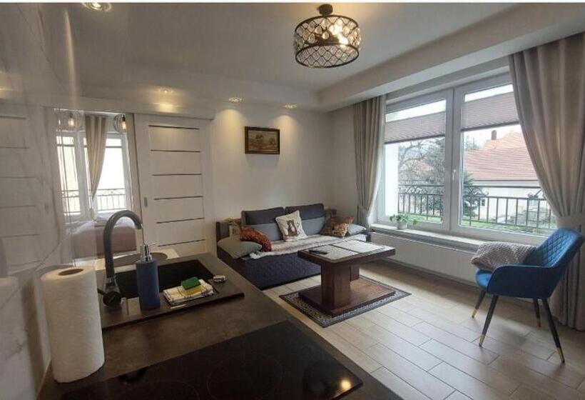 آپارتمان 1 خوابه, Apartamenty Biała Perła