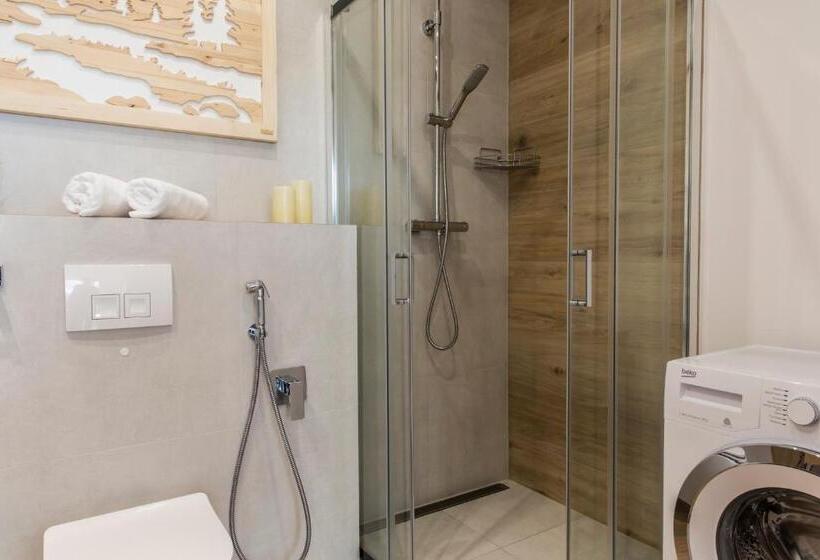 آپارتمان 2 خوابه, Aparthotel Royal Resort Spa Zakopane