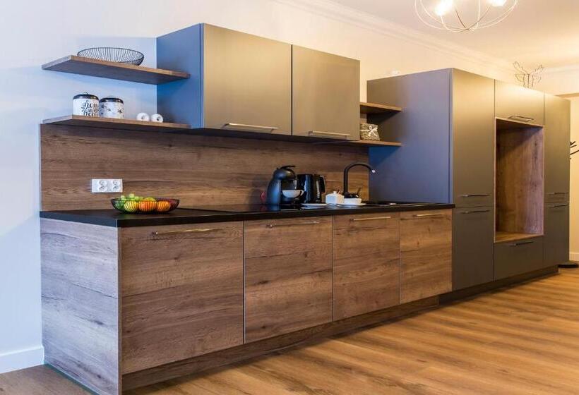 آپارتمان 1 خوابه, Aparthotel Royal Resort Spa Zakopane